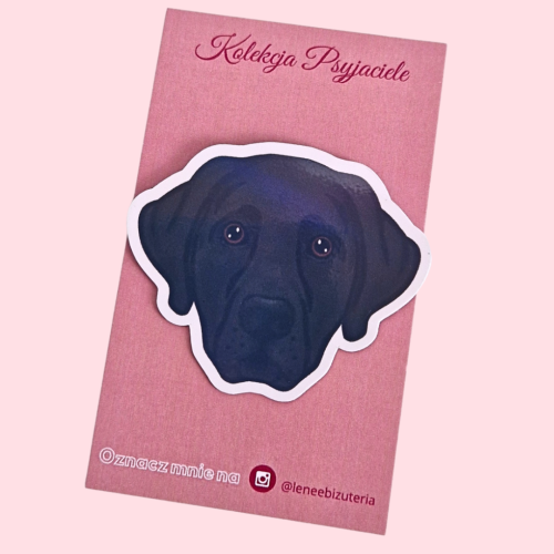 LENEE Magnes holograficzny dla psiary - Labrador czarny