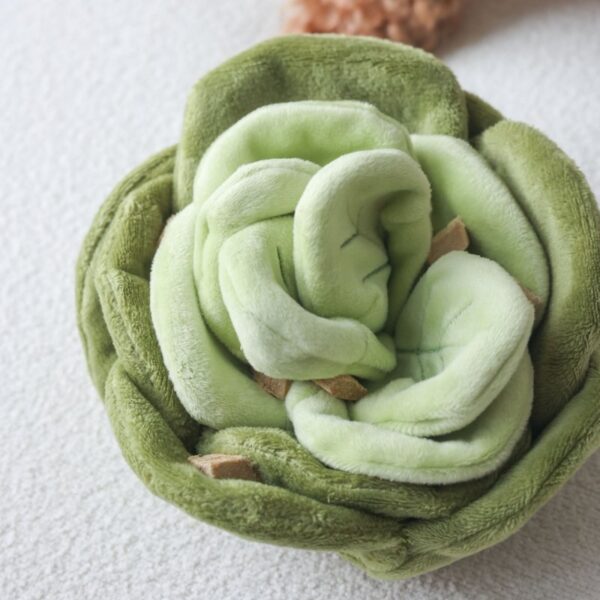 Pups & Bubs SNUFFLE CABBAGE - Kapusta zabawka węchowa
