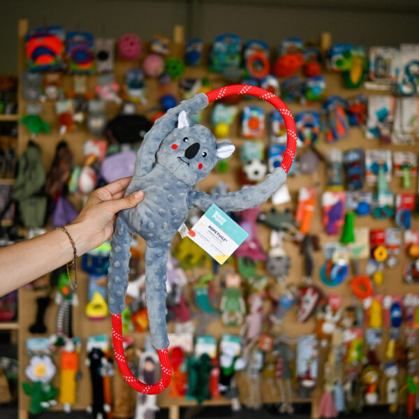 ZippyPaws Koala pluszowy na linie 71cm ZP964