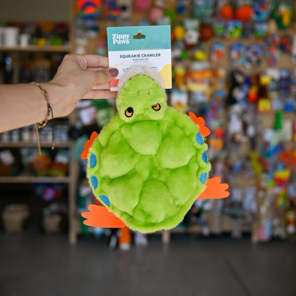 ZippyPaws Squeakie Crawler – Toby the Tree Frog ZP1050