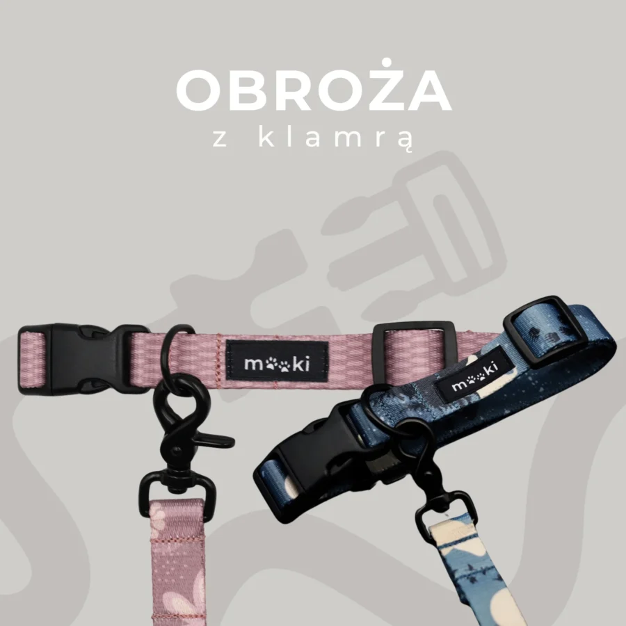 PRZEDSPRZEDAŻ: PSYsmak x MOOKI - kolekcja akcesoriów spacerowych „Dobrze, że jesteś” - obrazek 15