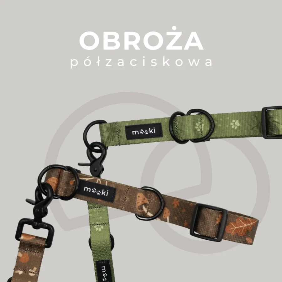 PRZEDSPRZEDAŻ: PSYsmak x MOOKI - kolekcja akcesoriów spacerowych „Dobrze, że jesteś” - obrazek 14