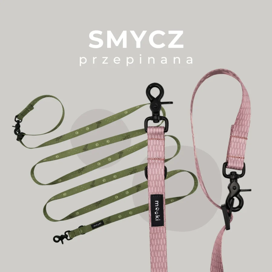 PRZEDSPRZEDAŻ: PSYsmak x MOOKI - kolekcja akcesoriów spacerowych „Dobrze, że jesteś” - obrazek 11