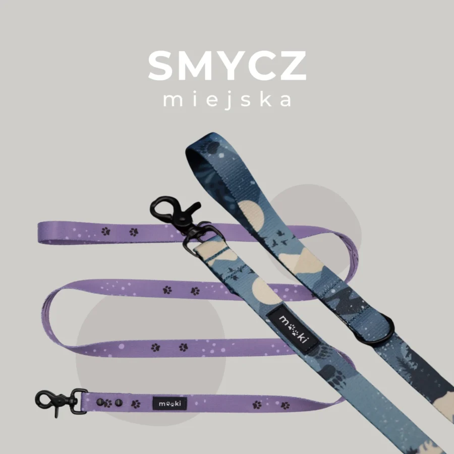 PRZEDSPRZEDAŻ: PSYsmak x MOOKI - kolekcja akcesoriów spacerowych „Dobrze, że jesteś” - obrazek 12