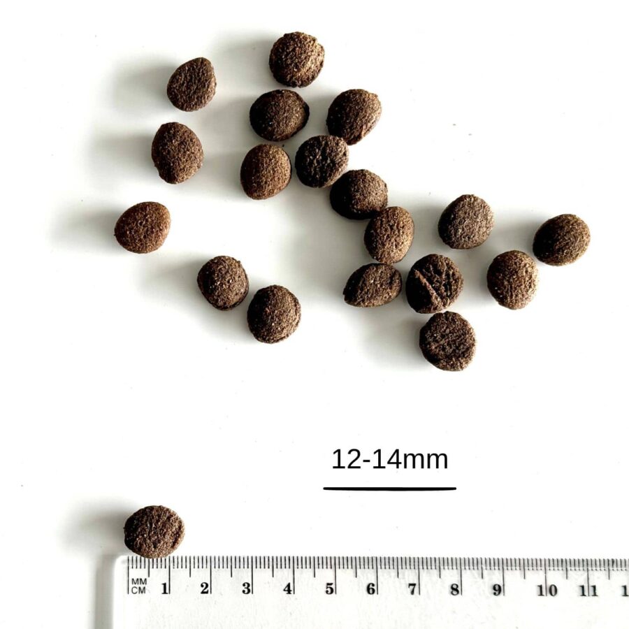 Farma - Wołowina Hipoalergiczna karma Tłoczona na Zimno 2 kg