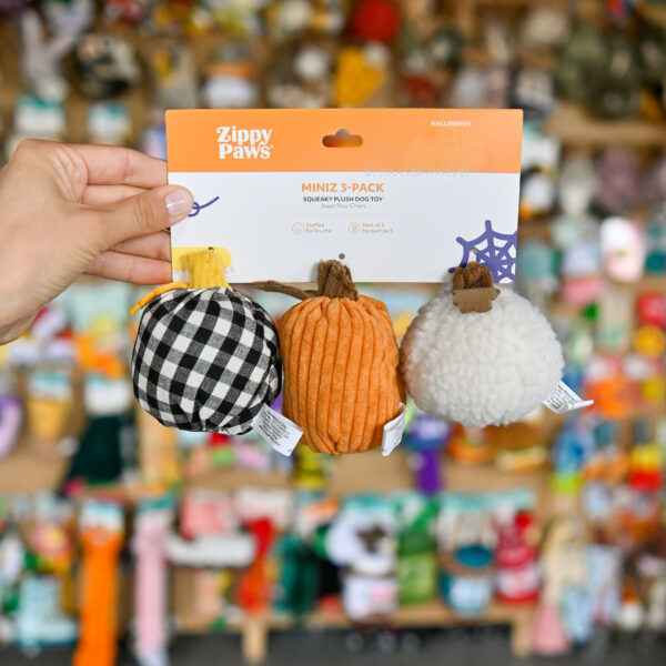 ZIPPYPAWS Halloween Miniz 3-pack Gourds dynie