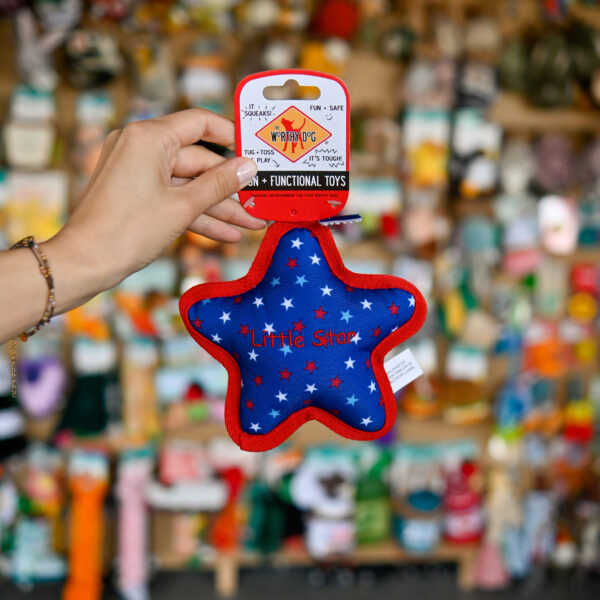 Star Toy Small