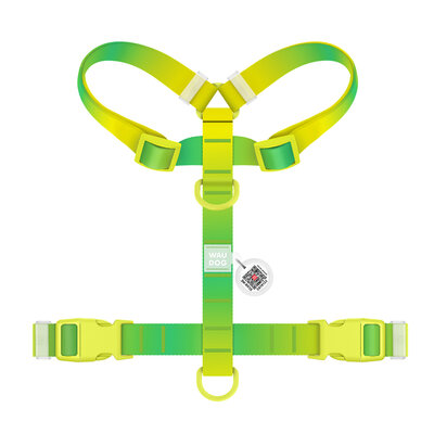 WAUDOG Nylon Recycled szelki dla psa z QR-paszportem, jasnozielony gradient, rozm S, szer. 15 mm