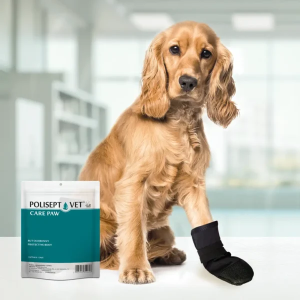polisept-vet-care-paw USP ŁATWE ZAKŁADANIE I ZDEJMOWANIE USP OCHRONA PRZED WYLIZYWANIEM I DRAPANIEM USP USPRAWNIENIE GOJENIA SIĘ RAN Strona główna / Sklep / Wszystkie produkty / POLISEPT VET® CARE PAW – but ochronny dla psa i kota POLISEPT VET® CARE PAW – but ochronny dla psa i kota