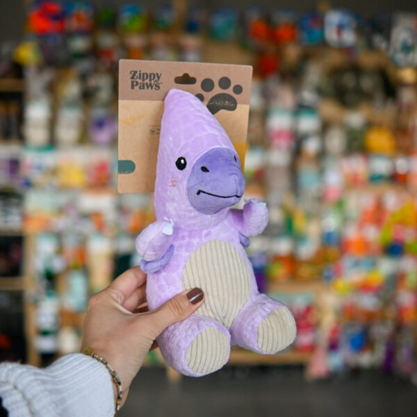 Zippy Paws EcoZippy Dinoz – Pterodaktyl dinozaur dla psa