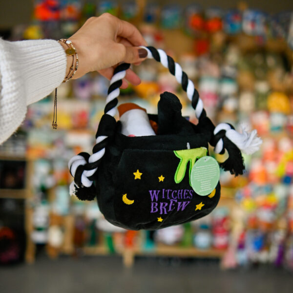 Hugsmart Howloween Night – Witches Brew norka węchowa napar czarownic