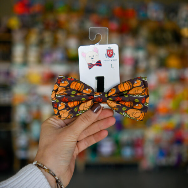 H&K Bow Tie Turkey Dinner Large - muszka kolacja jesienna w dynie