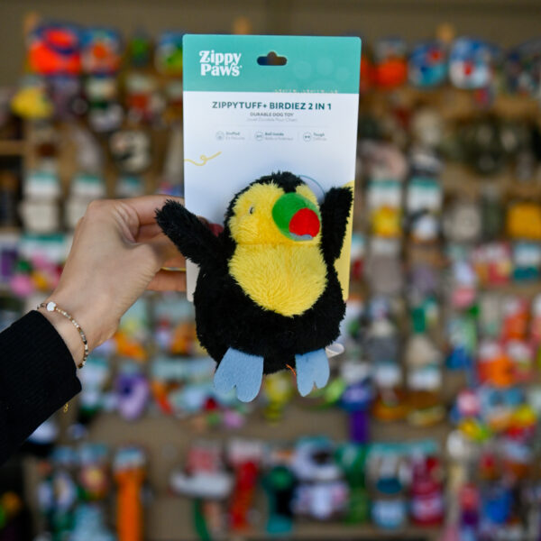 ZippyTuff+ 2 in 1 Birdiez – Toucan Tukan pluszowy z piłka z TPR we wnętrzu ZP1137