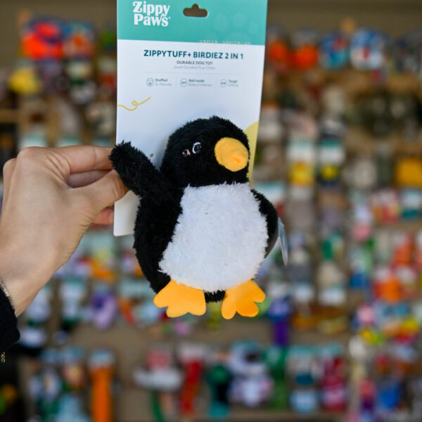 ZippyTuff+ 2 in 1 Birdiez – Penguin pingwinek pluszowy z piłka z TPR we wnętrzu ZP1136