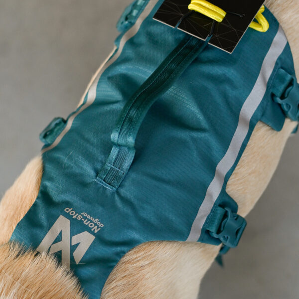 Non-stop dogwear Ramble harness long - szelki spacerowe turkusowe XS-XL