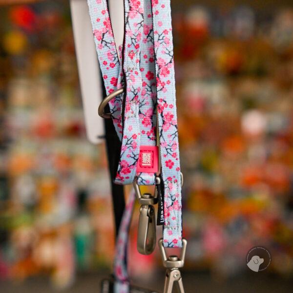 Max&Molly Multi-Leash Cherry Bloom - smycz przepinana dla psa, ciekawy wzór, 200cm XS