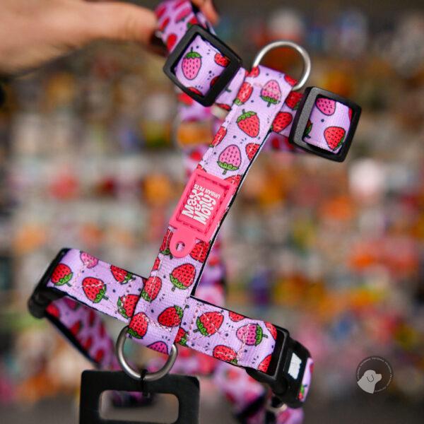 Max&Molly H-Harness Strawberry Dream - kolorowe szelki dla psa i szczeniaka, regulowane XS-L