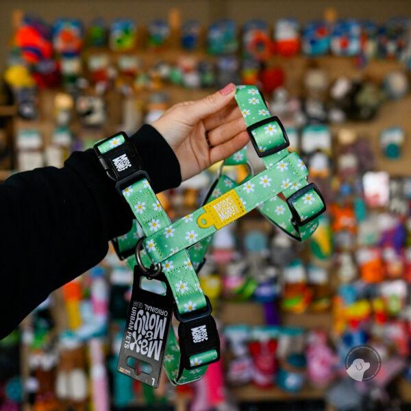 Max&Molly H-Harness Margarite - kolorowe szelki dla psa i szczeniaka, regulowane XS-L