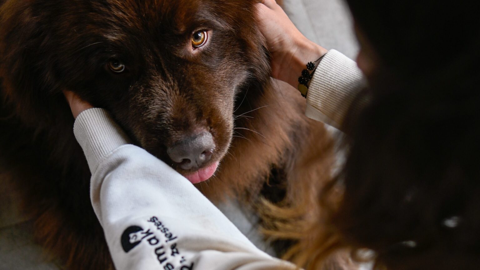 Kopia – Dzień z marką!