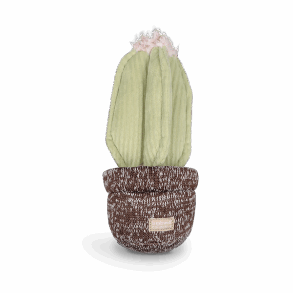 Lambwolf zabawka węchowa dla psa Kaktus