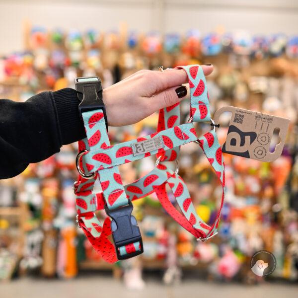 AMIPLAY Szelki regulowane Guard BeHappy Watermelon - rozm S-XL