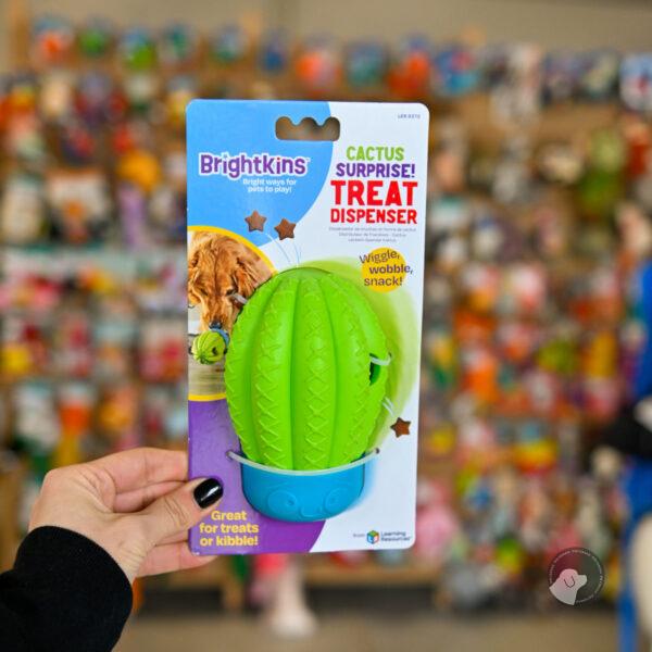 Brightkins Zabawka na przysmaki Cactus Surprise! KAKTUSOWA NIESPODZIANKA