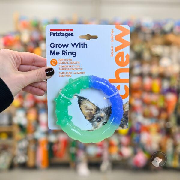 PETSTAGES GROW WITH ME RING PS68028- gryzak dla szczeniąt