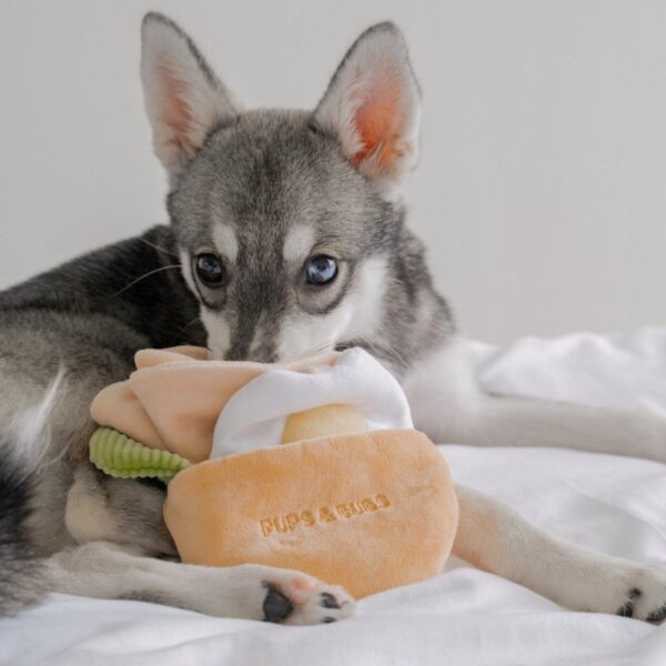 Pups & Bubs PITA zabawka węchowa