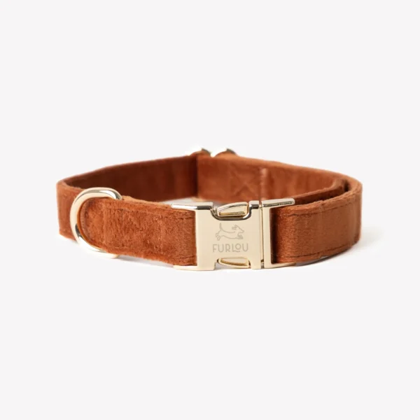 FURLOU VELVET DOG collar Clay - aksamitna obroża ruda obroża S-L
