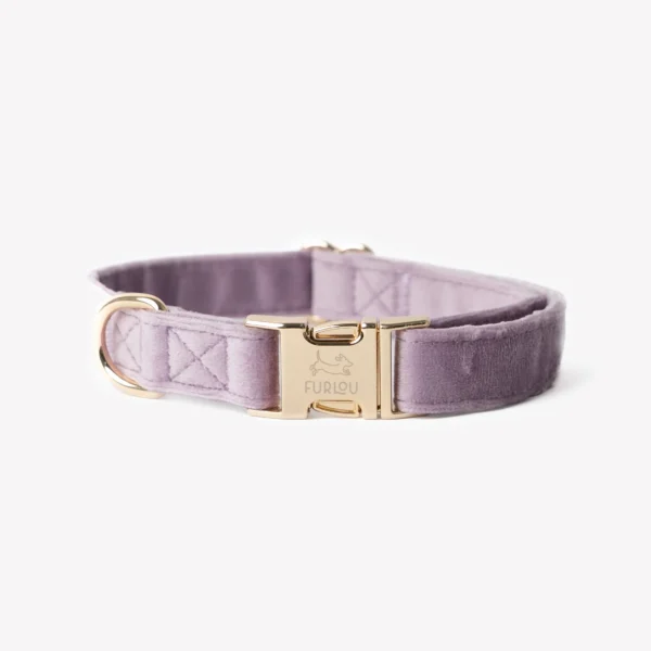 FURLOU VELVET DOG collar lilac - aksamitna jasno fioletowa obroża S-L