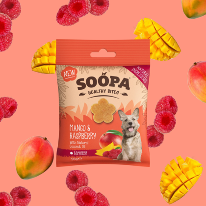 SOOPA Healthy Bites dla psa – Mango i Maliny (50g)