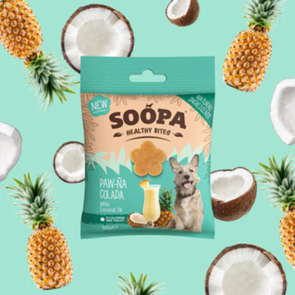 SOOPA Healthy Bits dla psa – Ananas i Kokos (50g)